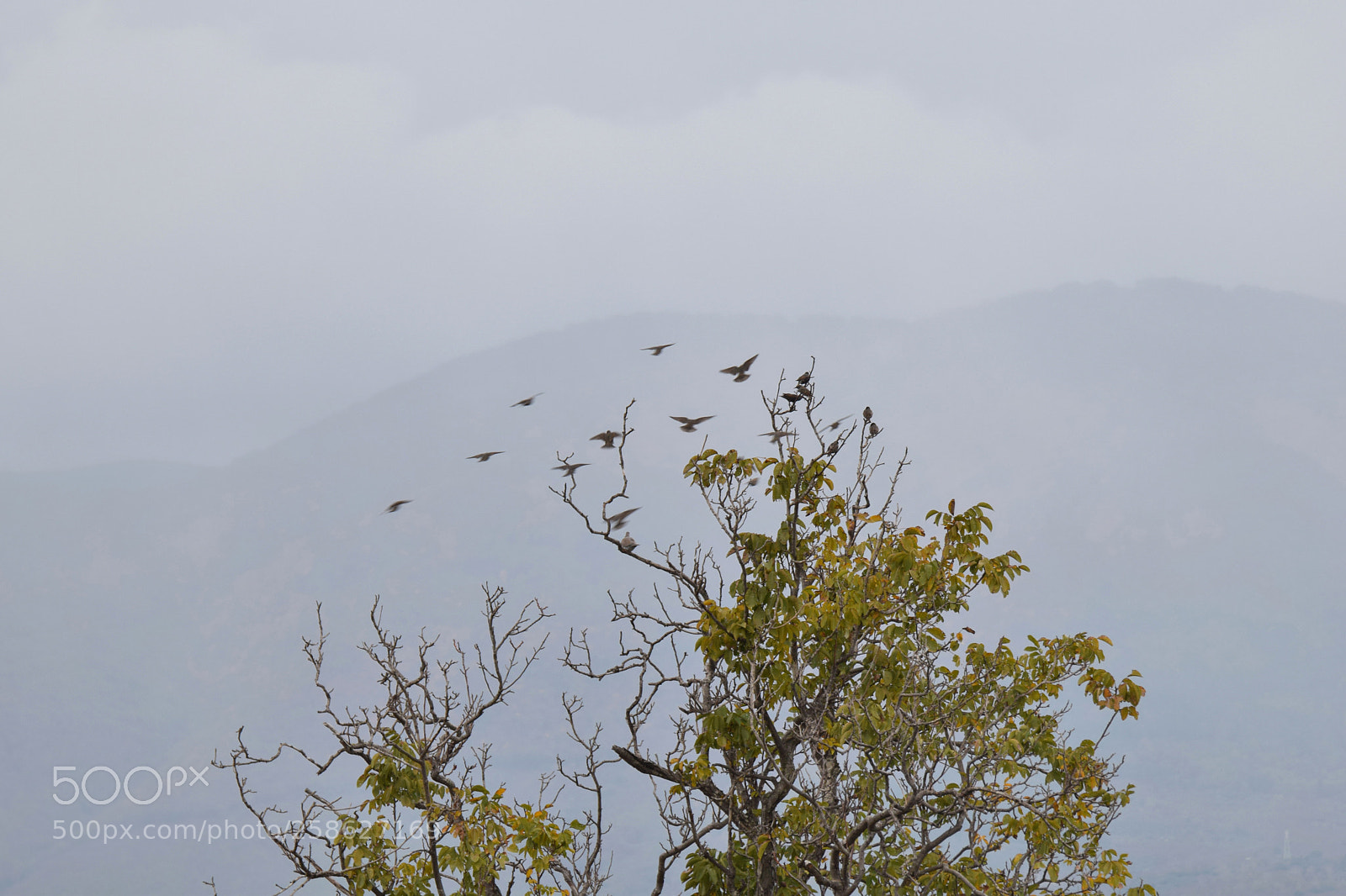 Nikon D5300 sample photo. Dsc_1235-..jpg photography