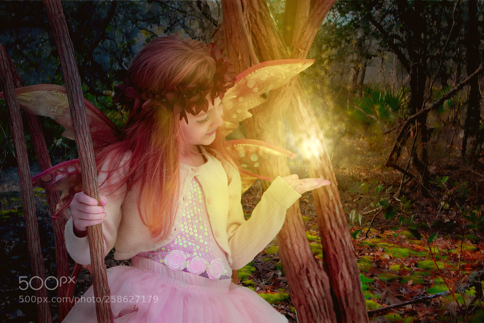 Canon EOS 700D (EOS Rebel T5i / EOS Kiss X7i) sample photo. P fairy photography