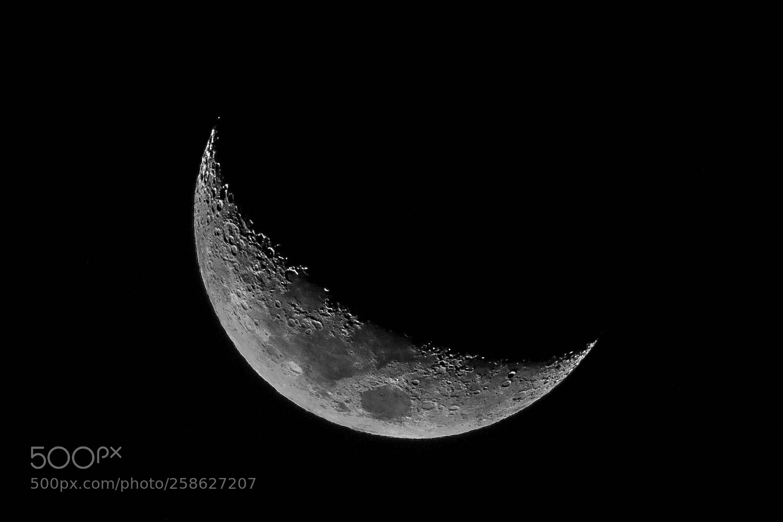 Canon EOS 7D Mark II sample photo. Untitled photography