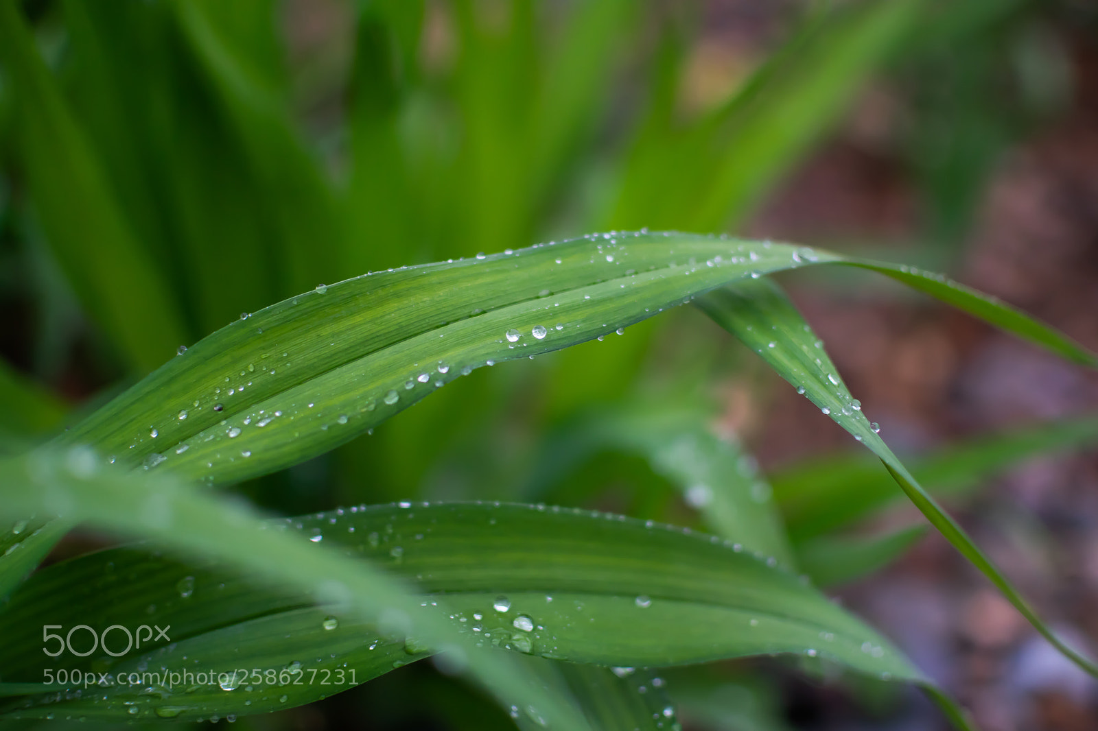 Nikon D5300 sample photo. Untitled photography