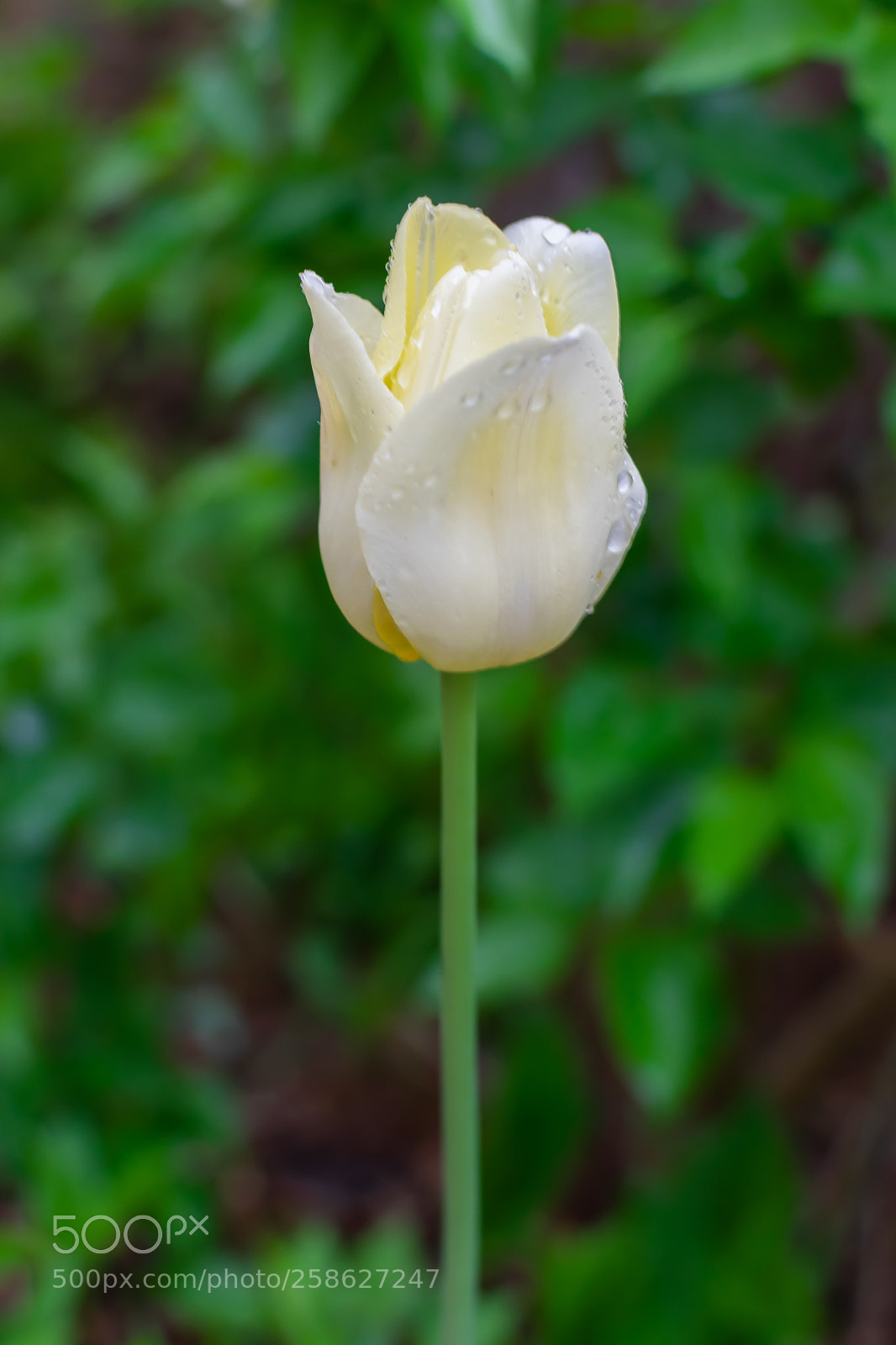 Nikon D5300 sample photo. Untitled photography