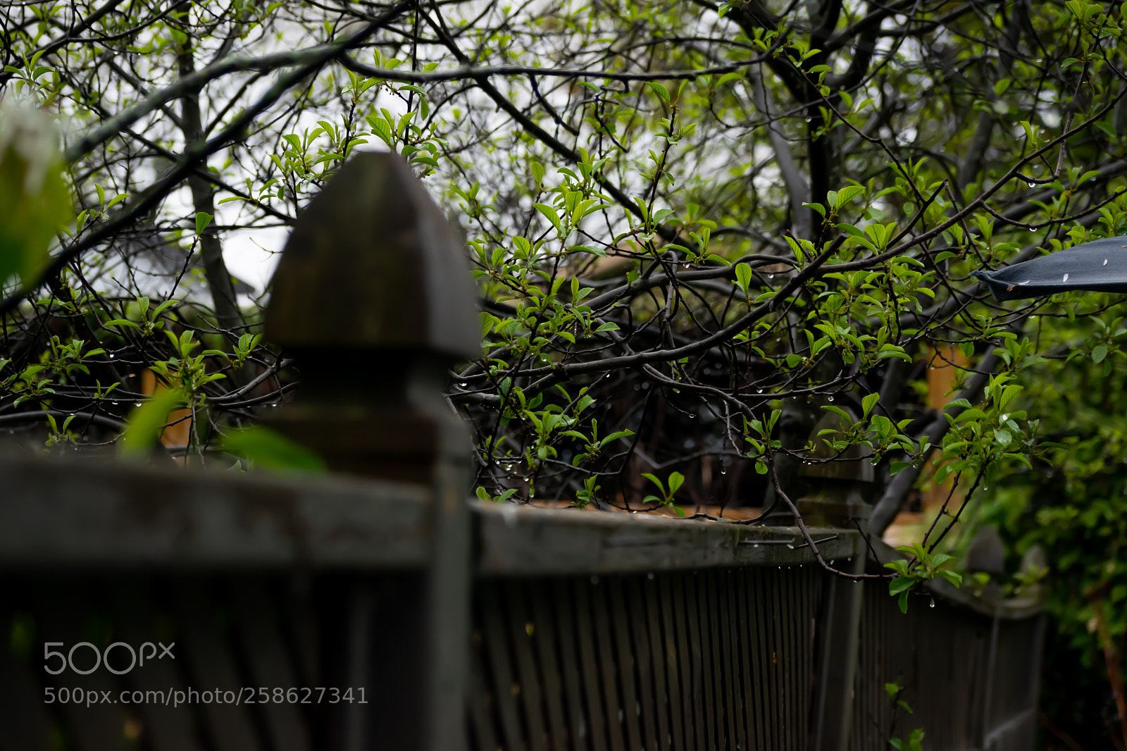 Nikon D5300 sample photo. Untitled photography