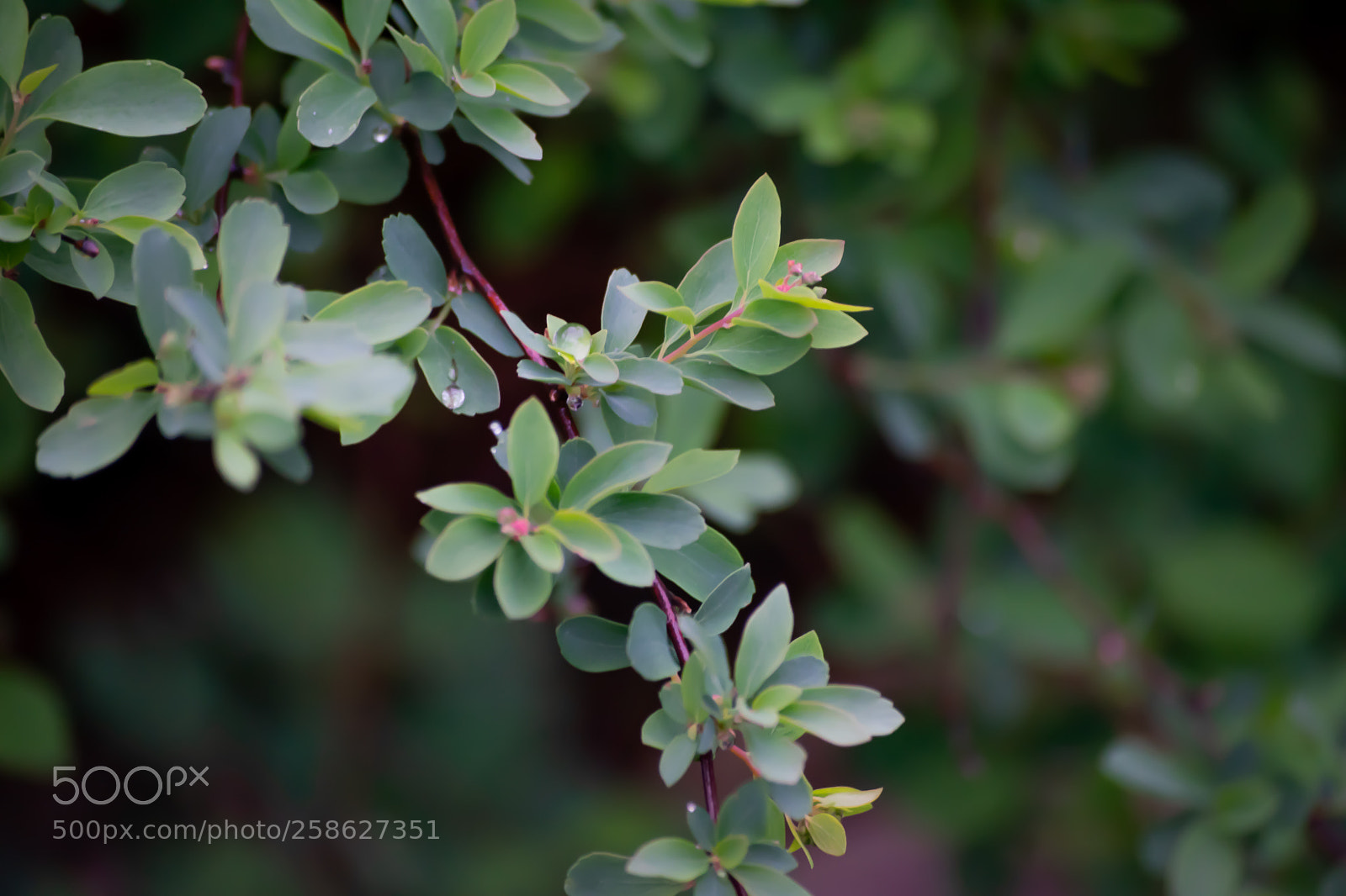 Nikon D5300 sample photo. Untitled photography