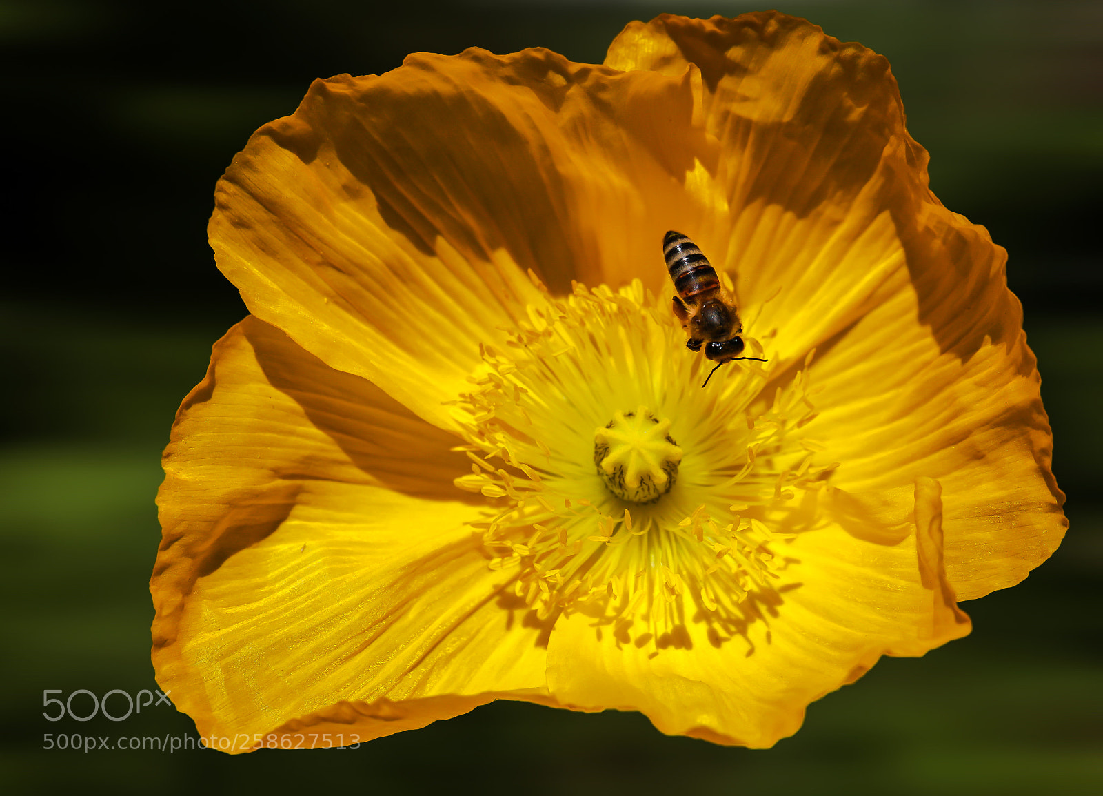 Canon EOS 6D sample photo. Preparation for landing photography