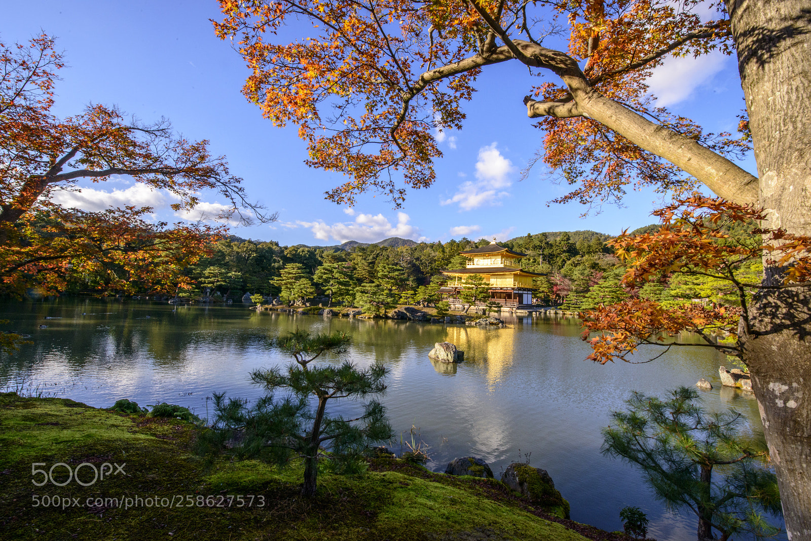 Nikon D800 sample photo. Golden pavilion kyoto 金閣寺京都 photography