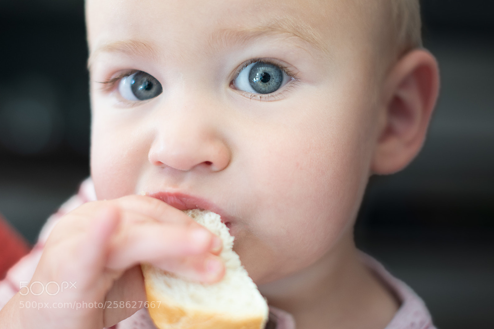 Nikon D500 sample photo. Breadaholic photography