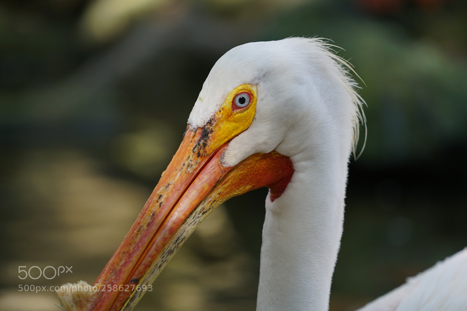 Sony a7R II sample photo. Ar photography