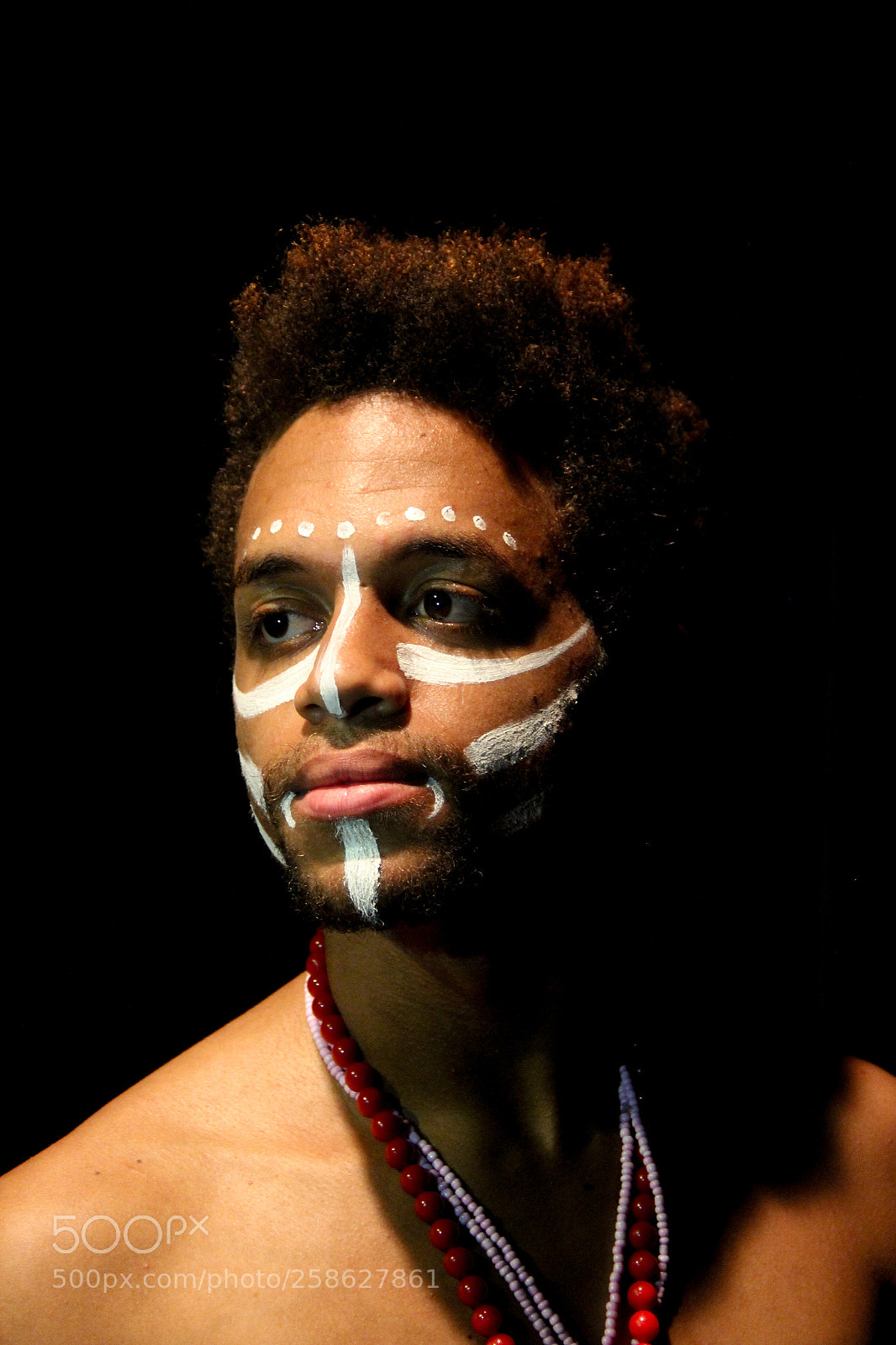 Canon EOS 60D sample photo. Bal afro ra zes photography