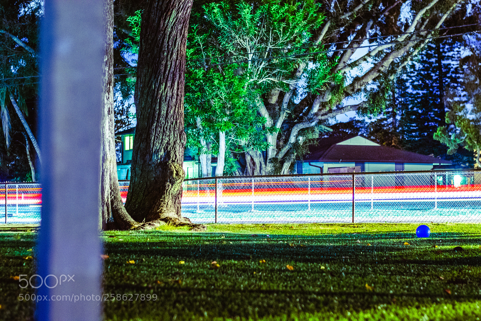 Nikon D7100 sample photo. Tail light trails photography