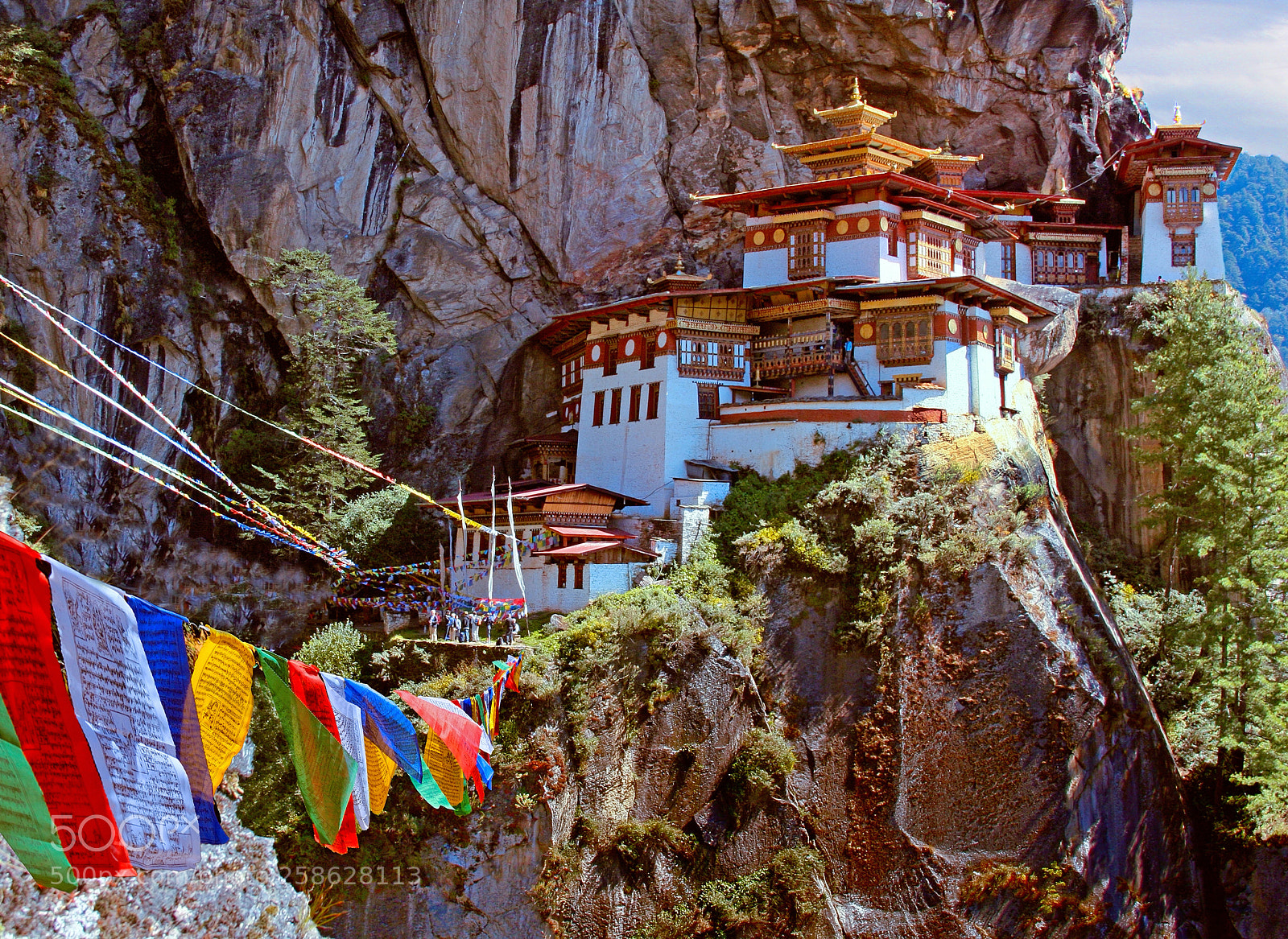 Canon EOS 40D sample photo. Best tiger nest photography