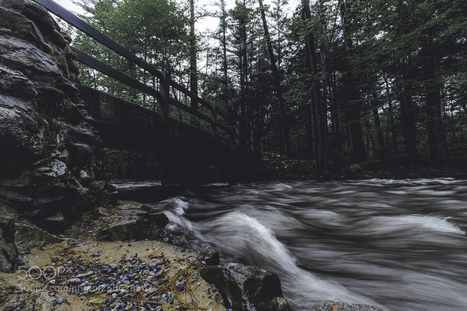 Sony a7 II sample photo. Caledonia state park photography