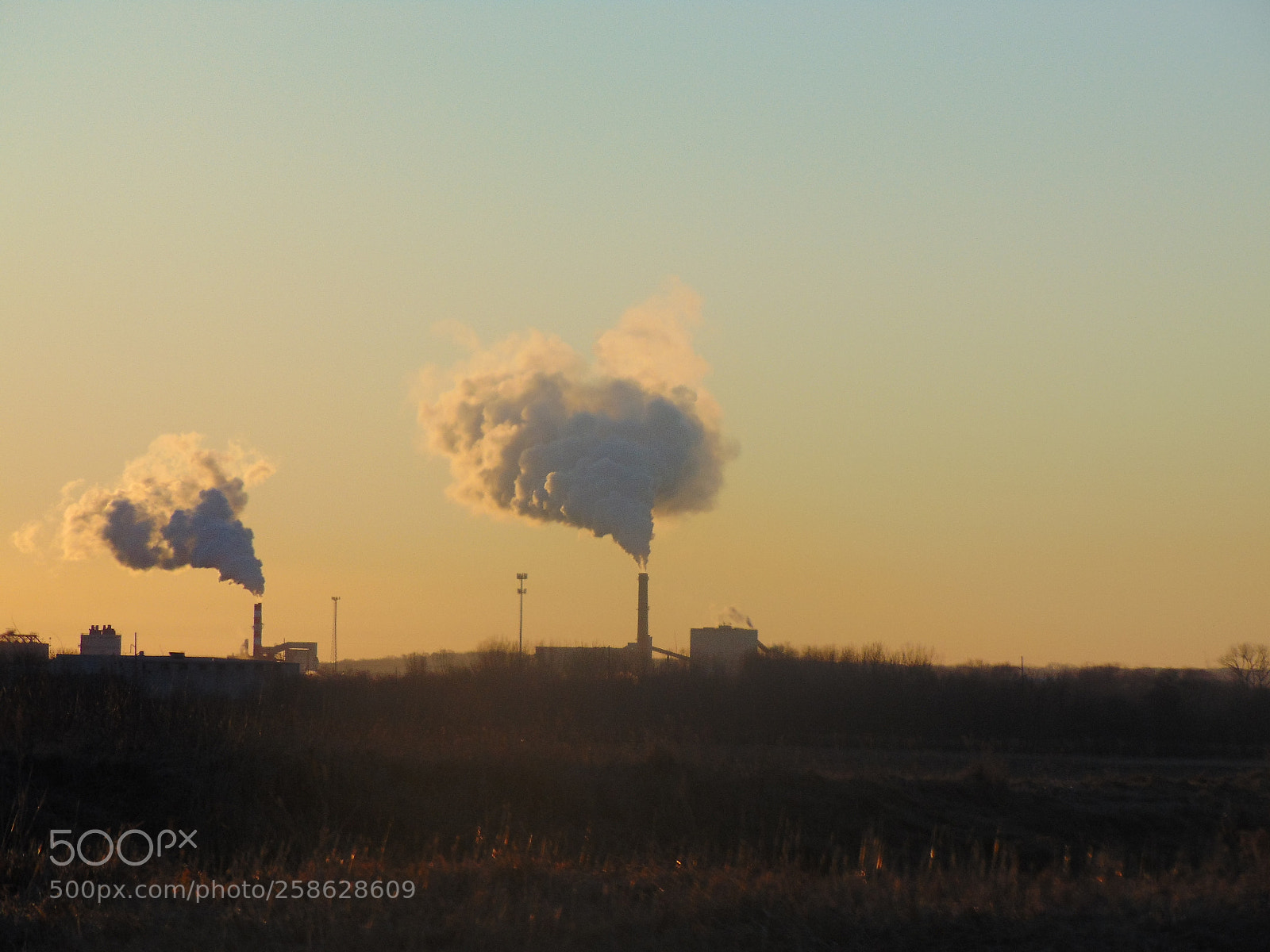 Sony Cyber-shot DSC-H300 sample photo. () photography