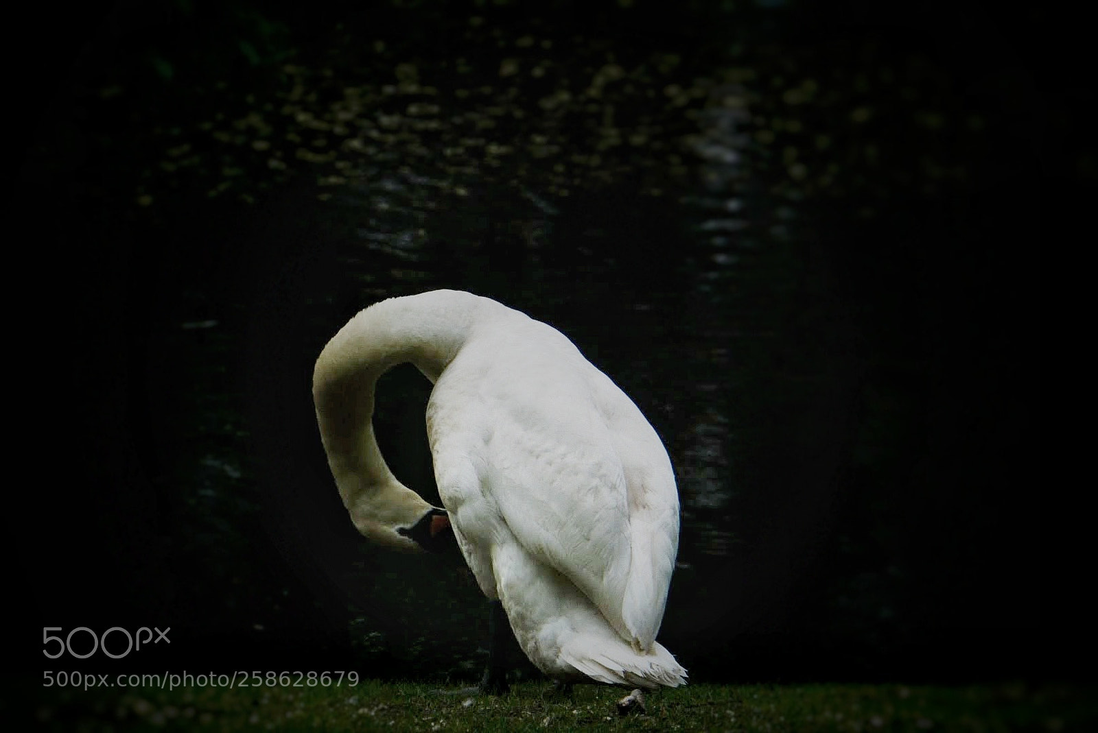 Sony a6000 sample photo. Waterprof photography