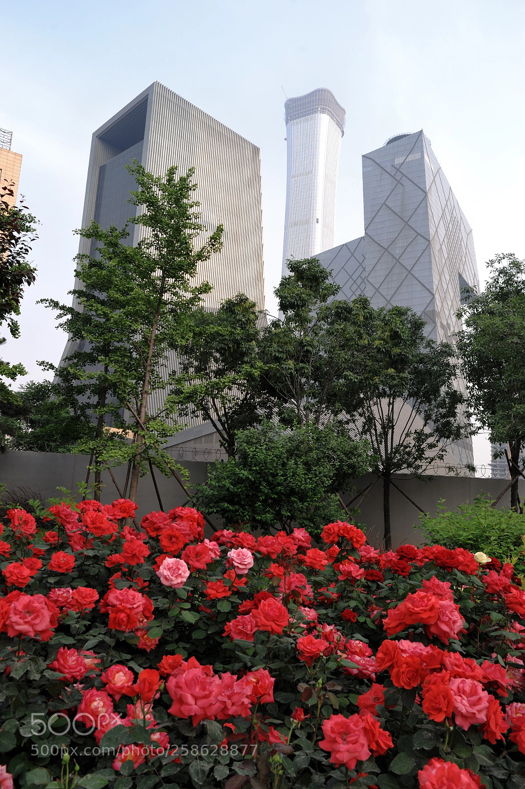 Nikon D700 sample photo. Peking, china photography