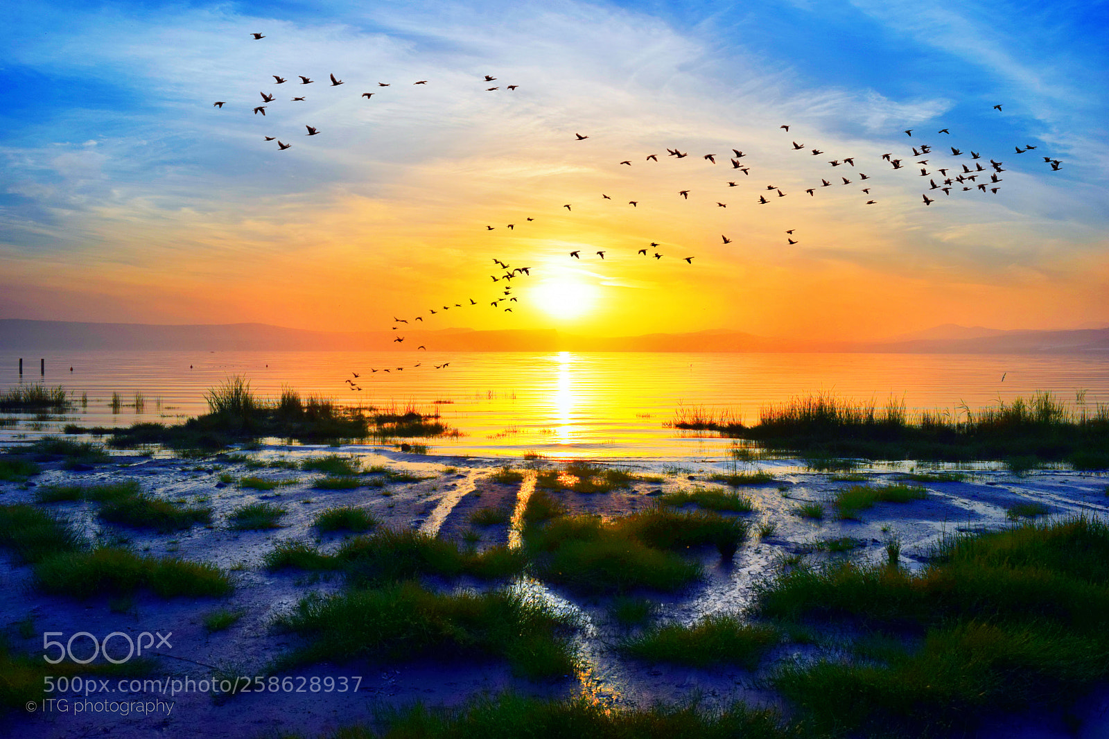 Nikon D5300 sample photo. Birds at sunset (2) photography
