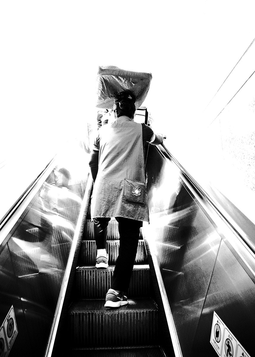 Ricoh GR DIGITAL 3 sample photo. . photography