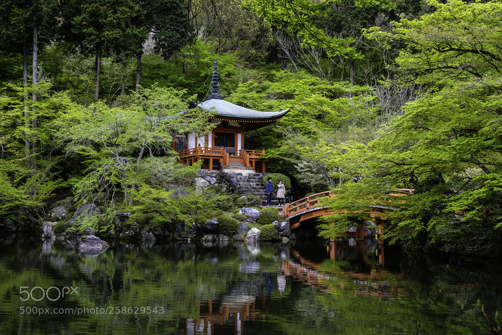 Fujifilm X-T2 sample photo. Japan-醍醐寺 弁天池 photography