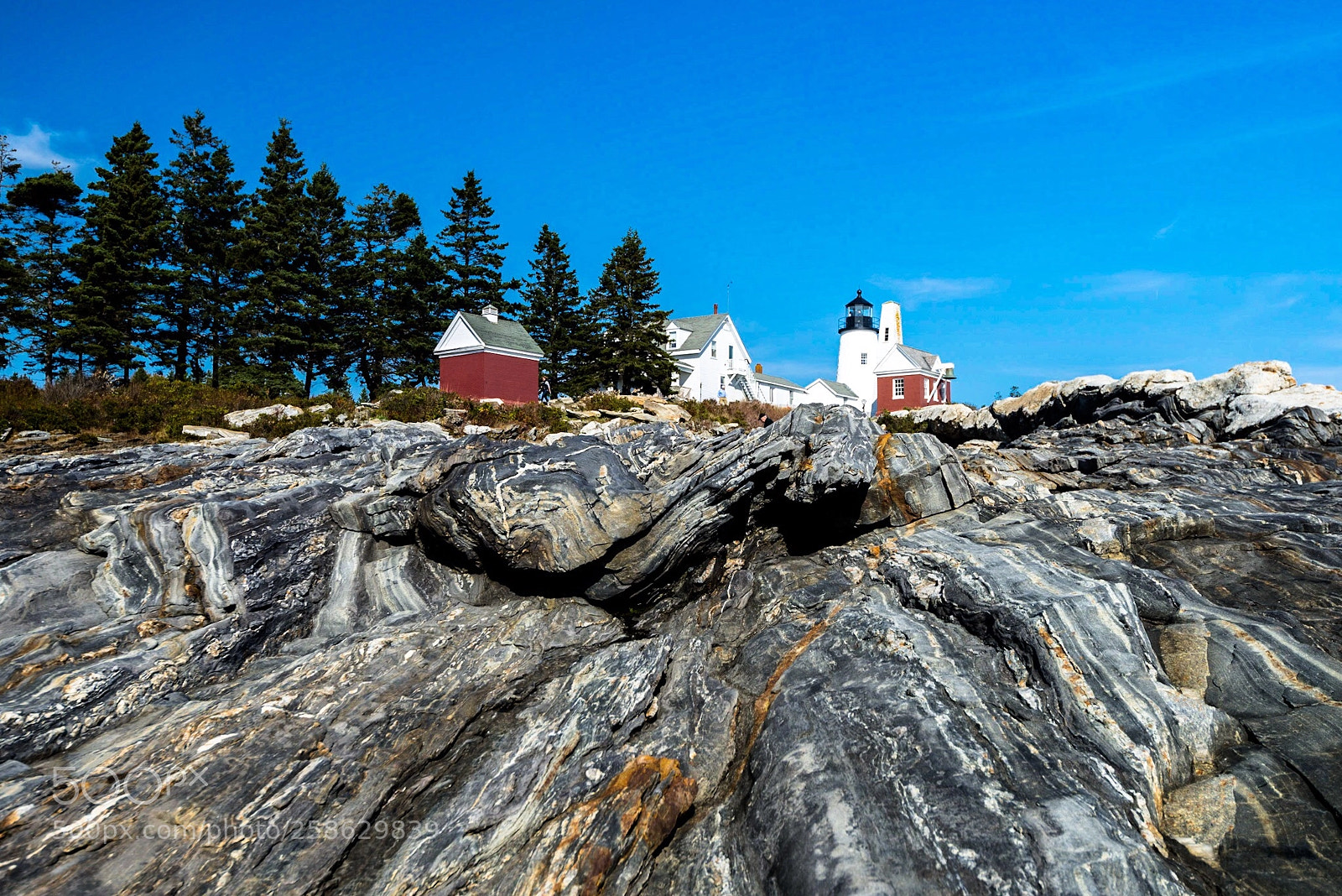 Nikon D800E sample photo. Pemaquid point lighthouse photography