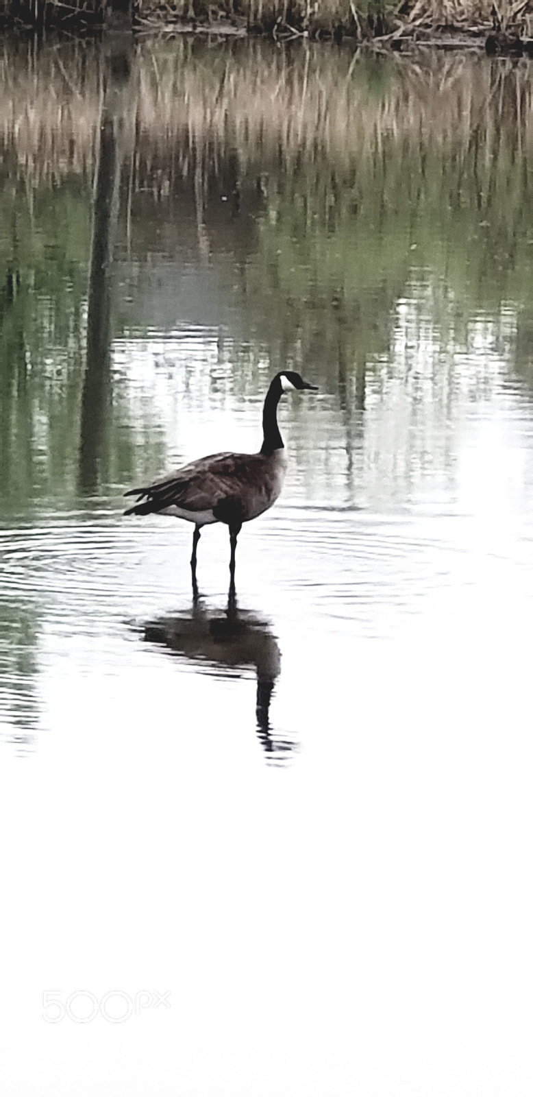 Samsung Galaxy S9+ sample photo. 20180519_140743.jpg photography