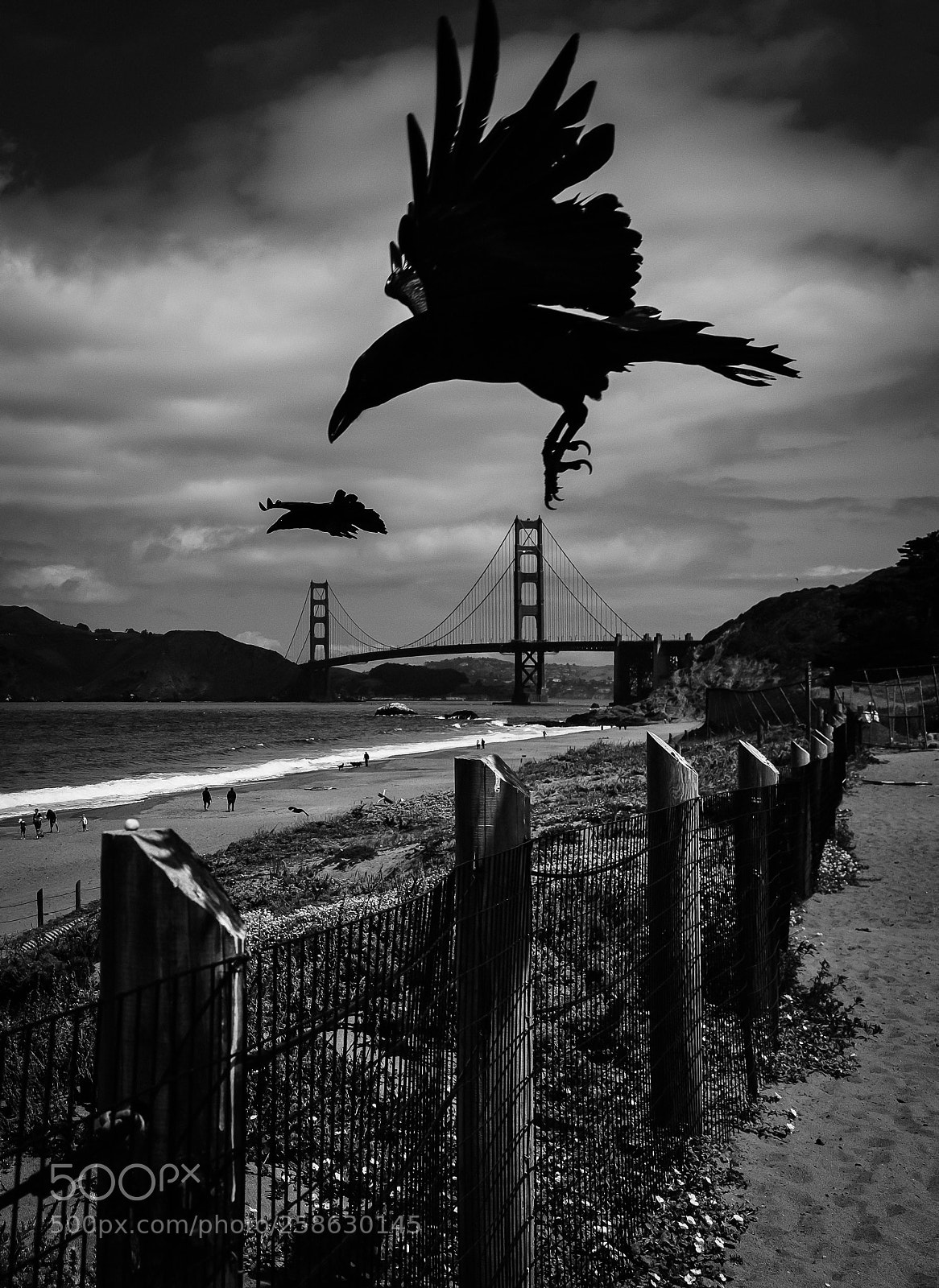 Fujifilm X100F sample photo. Murder at the beach photography