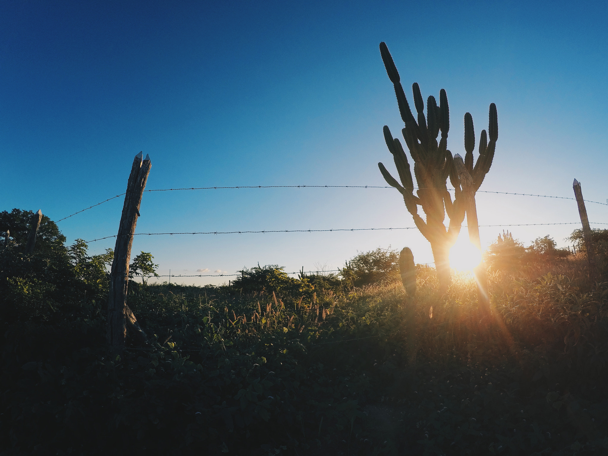 GoPro HERO4 Silver sample photo. Fim de tarde photography