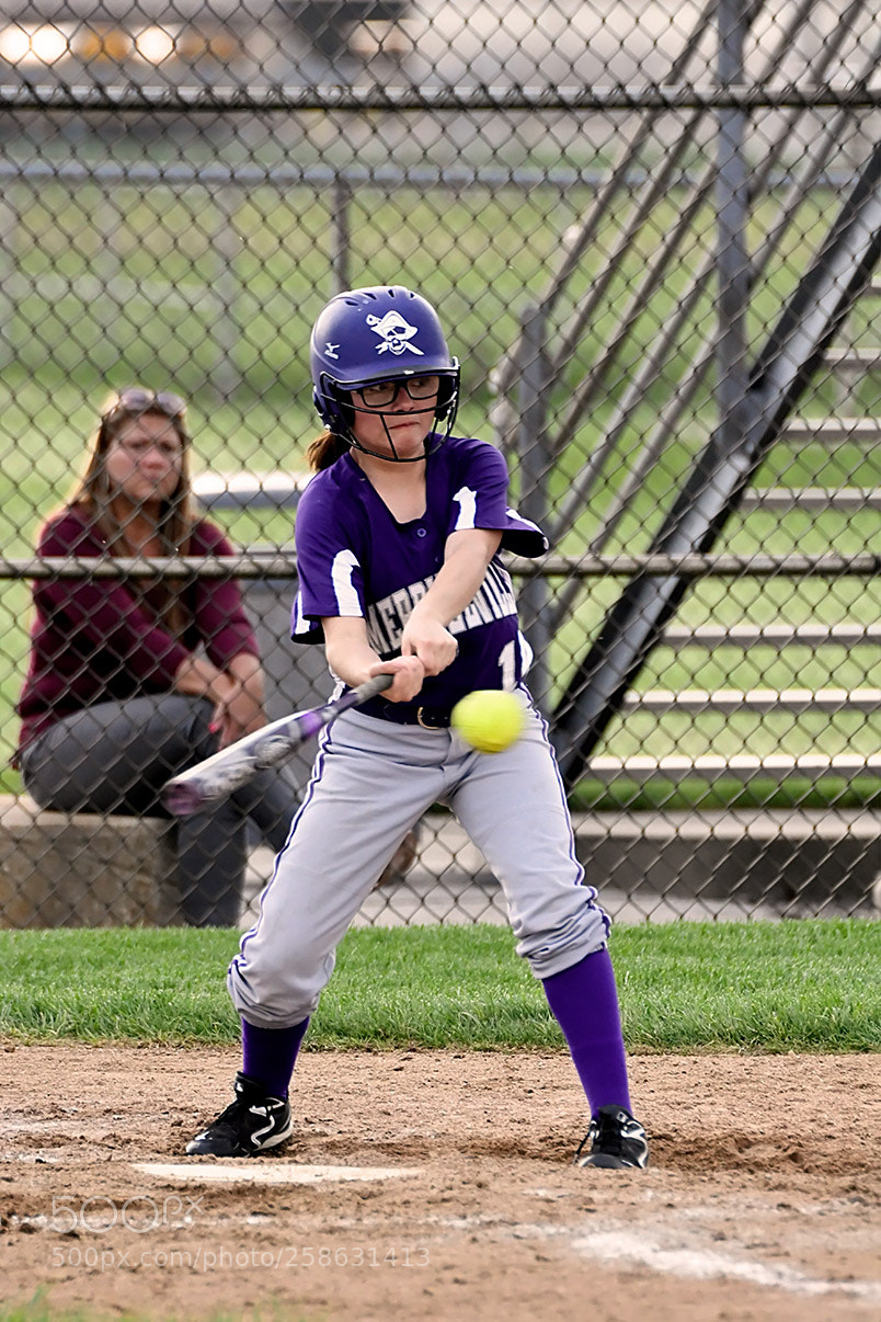 Nikon D500 sample photo. 5-14_0417.jpg photography