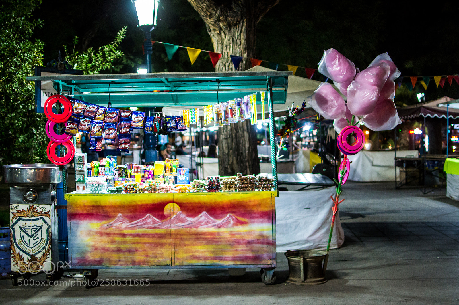 Nikon D3100 sample photo. Sugar photography