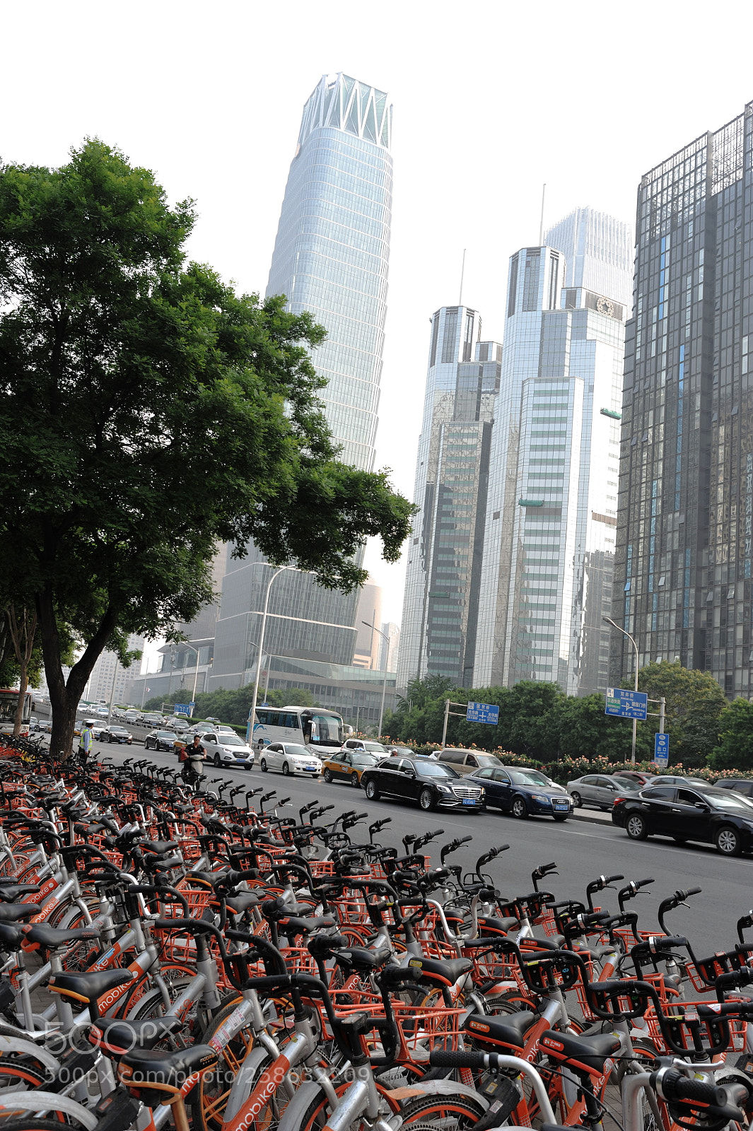 Nikon D700 sample photo. Beijing, china photography