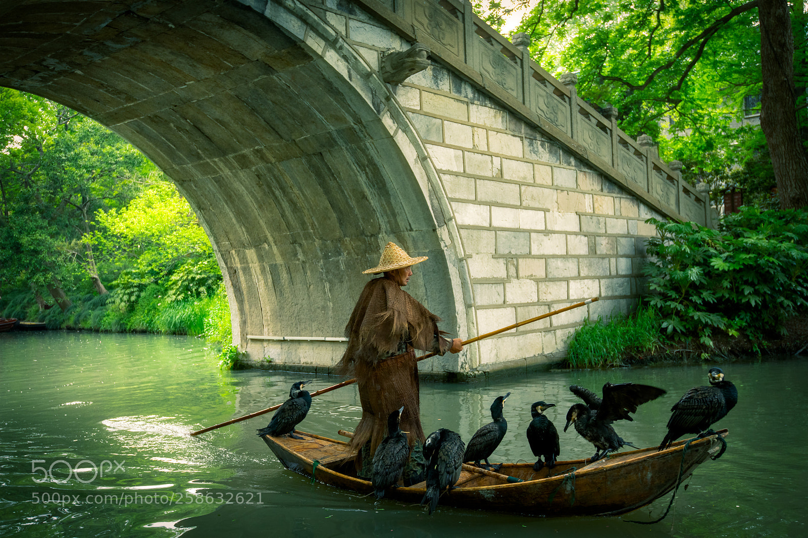 Nikon D850 sample photo. Fisher and cormorants photography