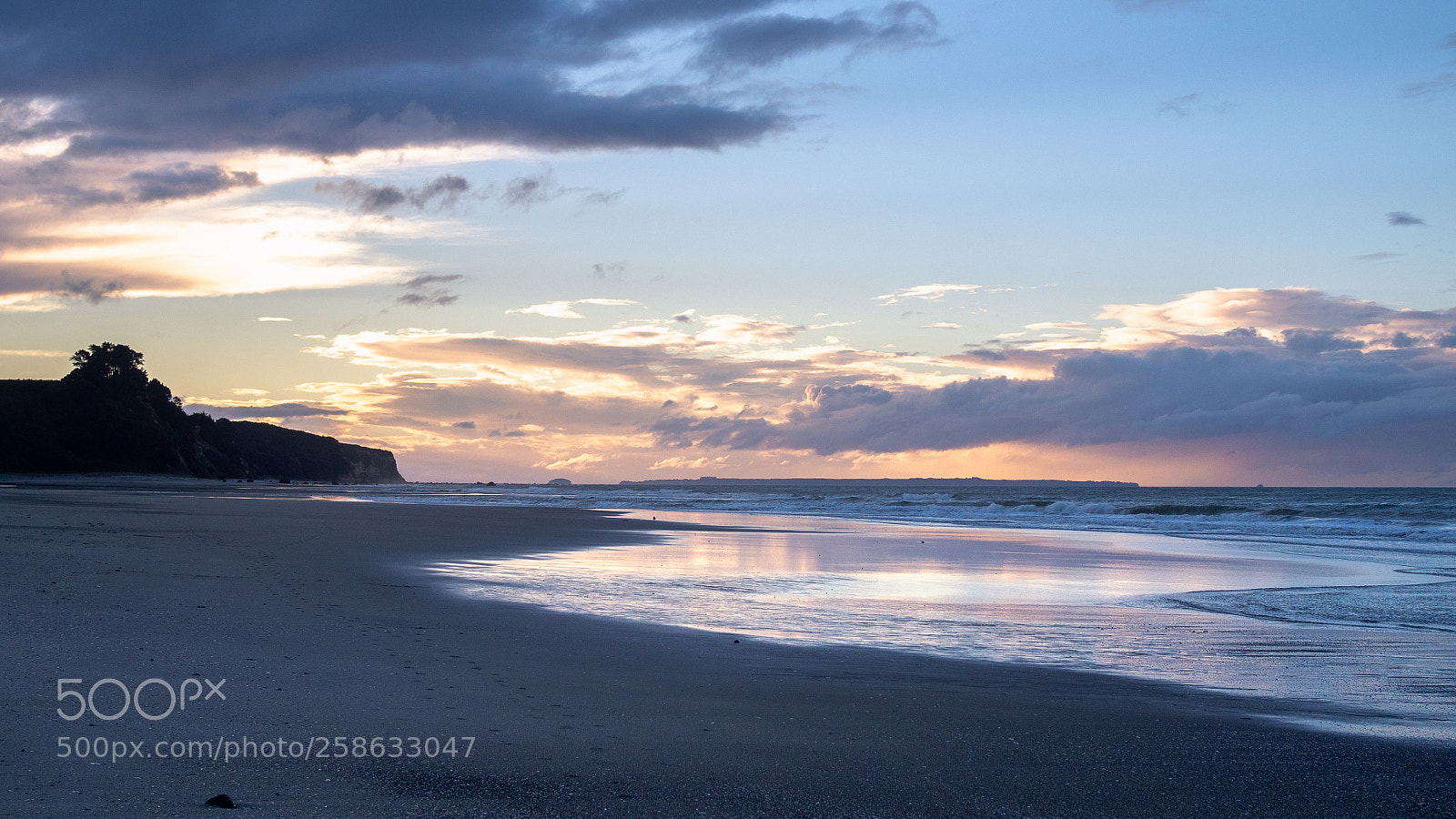 Olympus OM-D E-M10 II sample photo. Tauranga photography