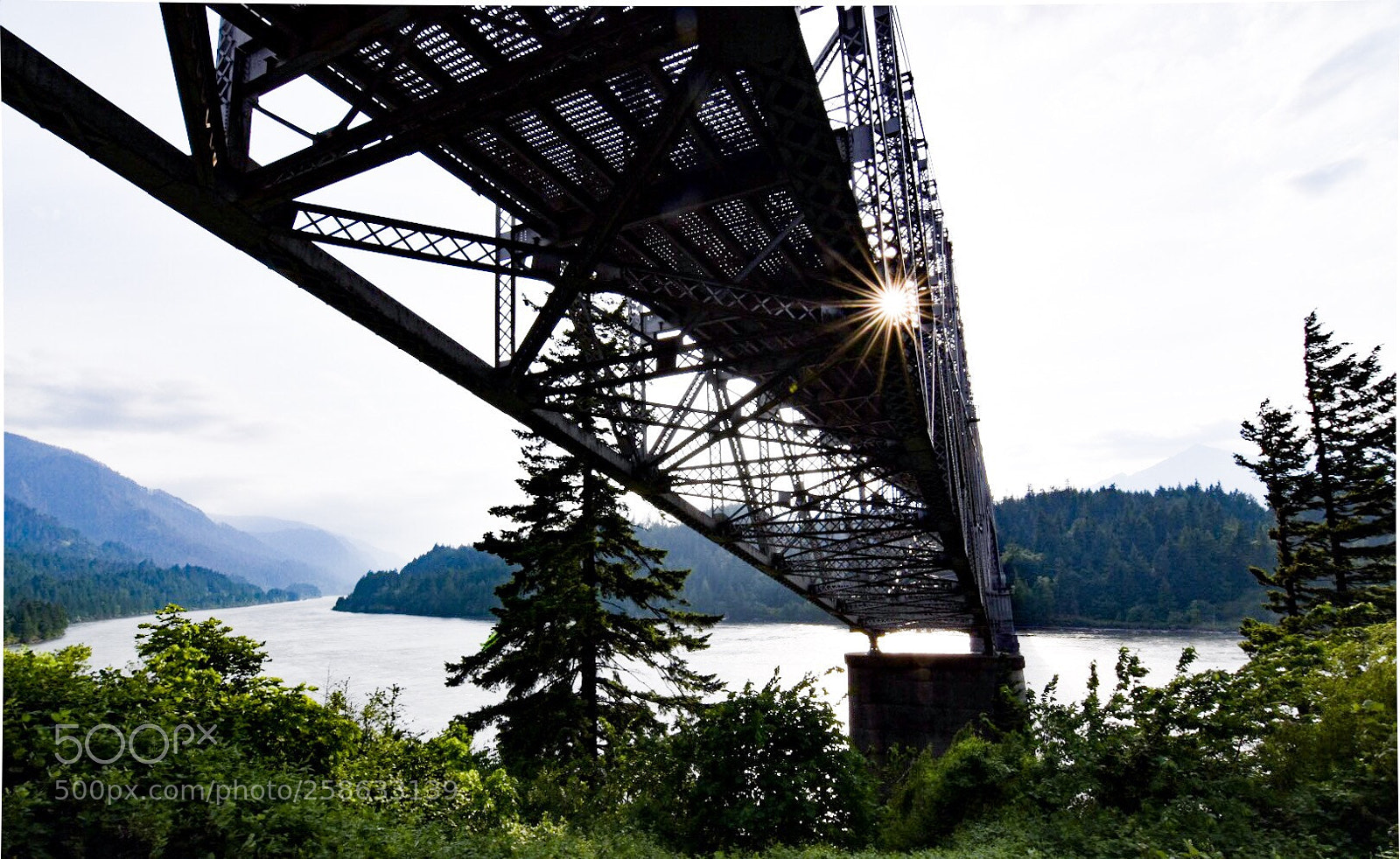 Nikon D5500 sample photo. Untitled photography