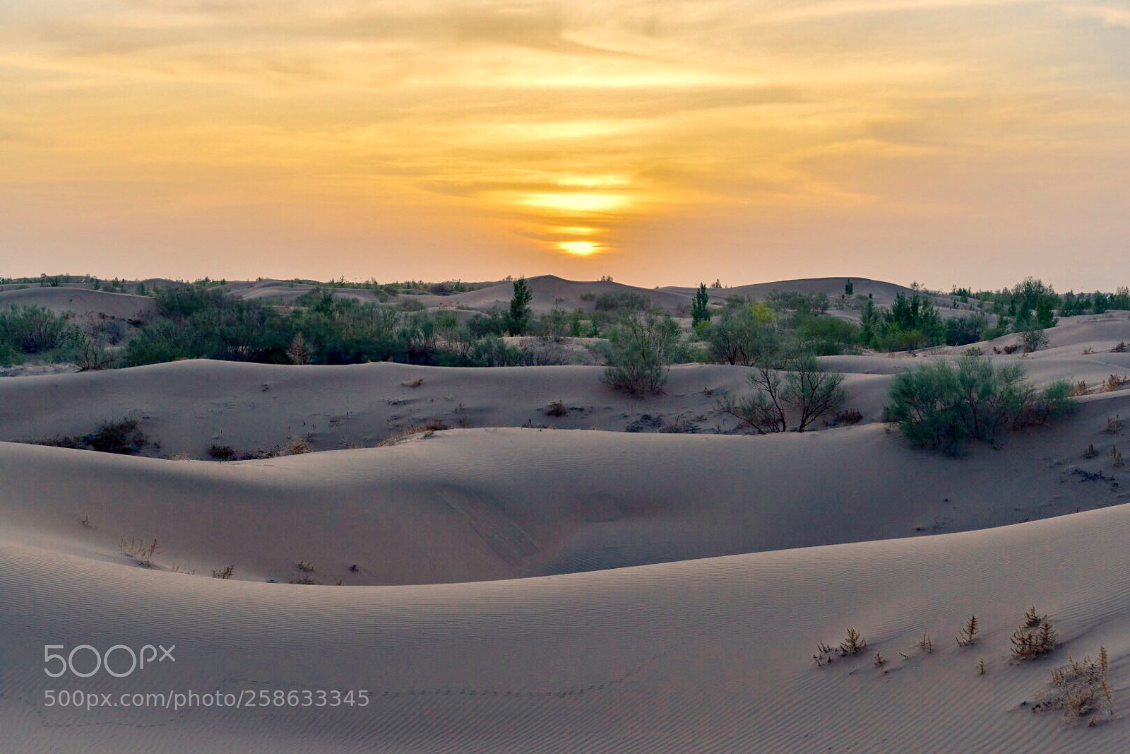 Nikon D750 sample photo. Sunrise on desert photography