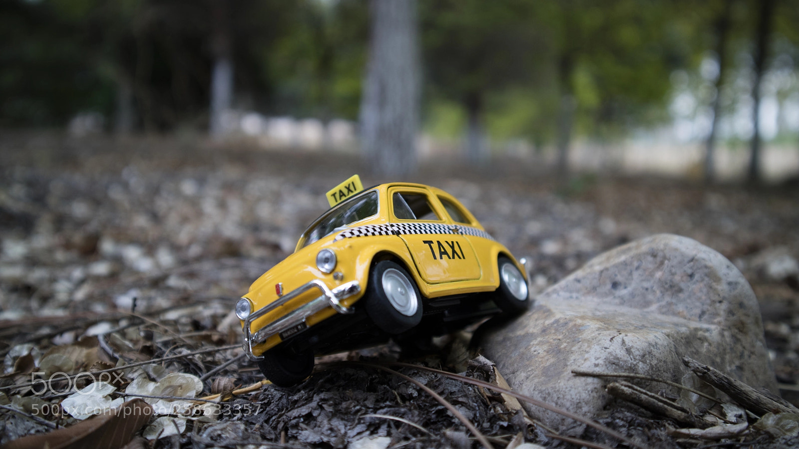 Canon EOS M3 sample photo. On a rock photography