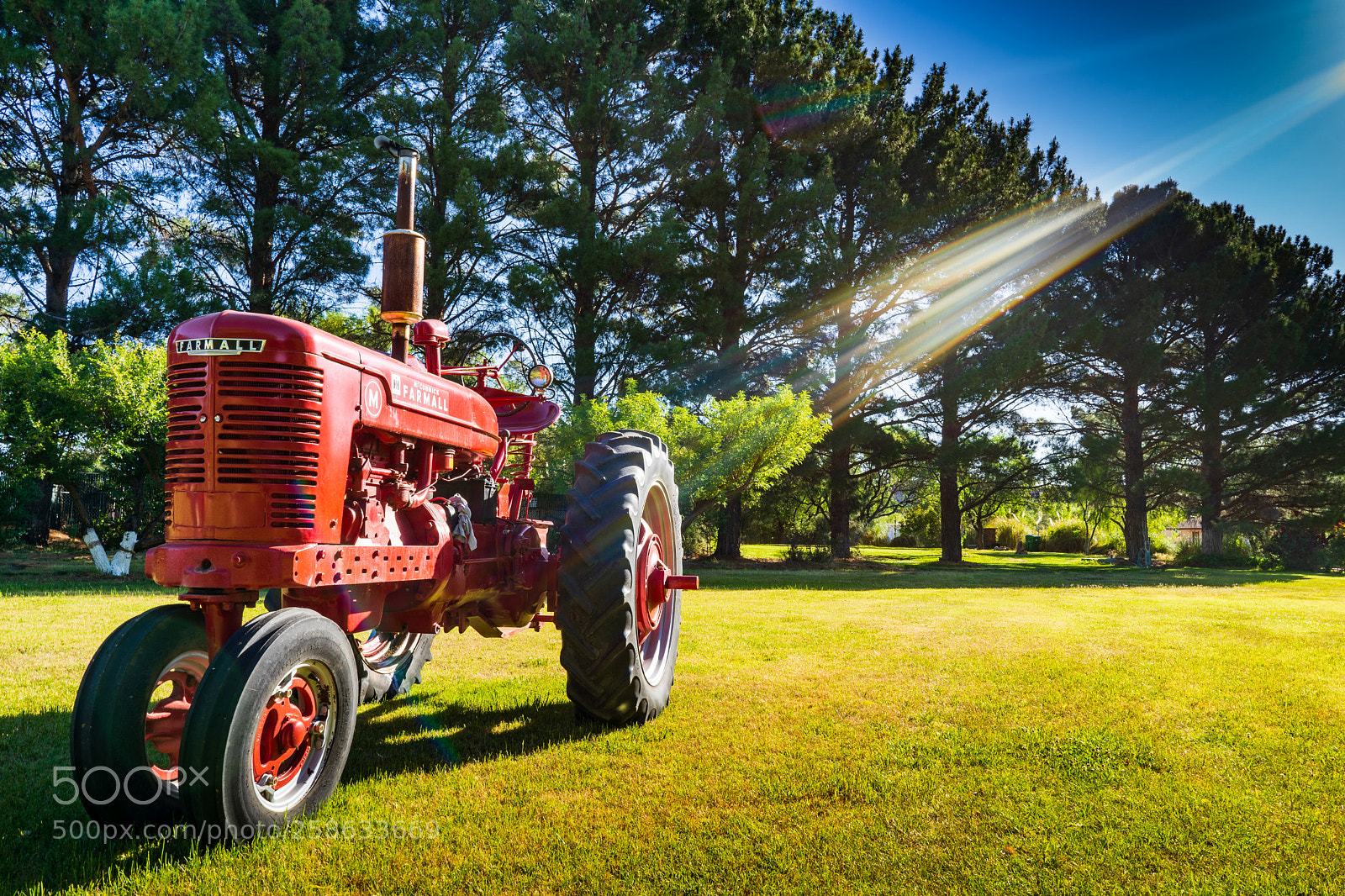 Sony a7 III sample photo. Farmall sunbeam photography