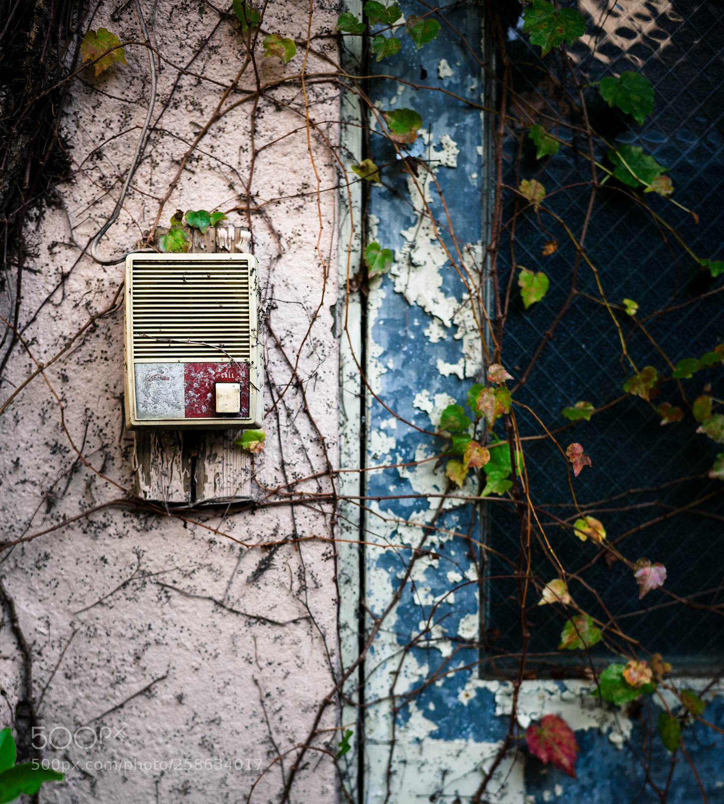 Leica M (Typ 240) sample photo. L photography