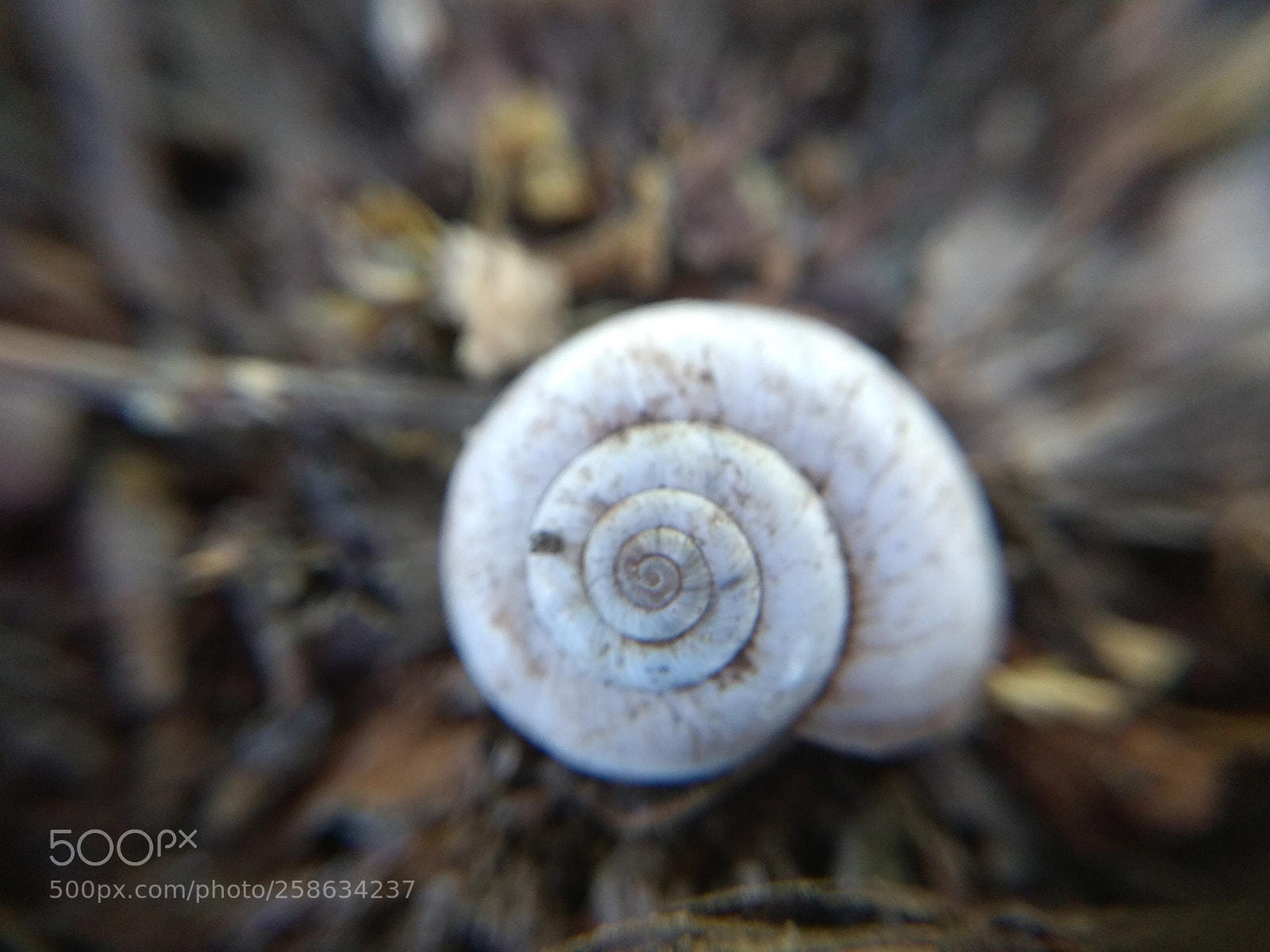 Xiaomi Redmi Note 4 sample photo. Dawnward spiral photography