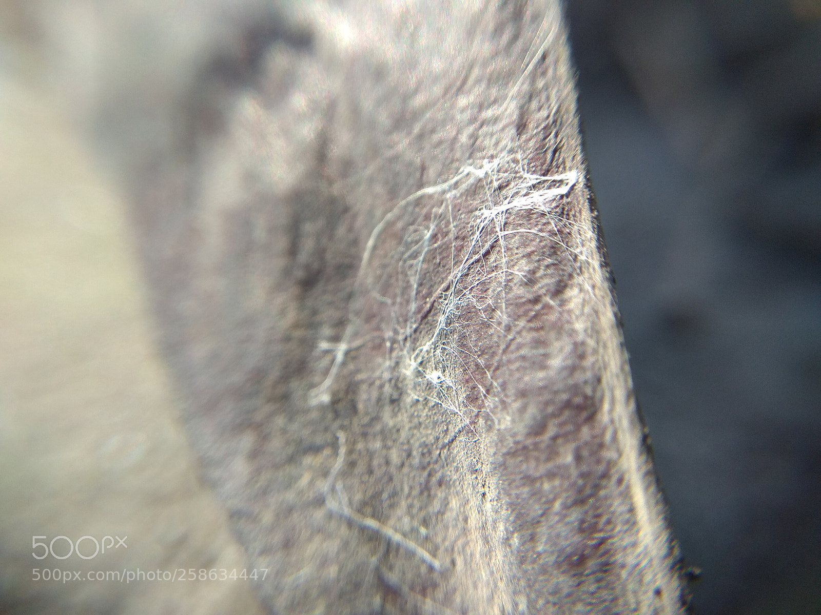 Xiaomi Redmi Note 4 sample photo. Untitled photography