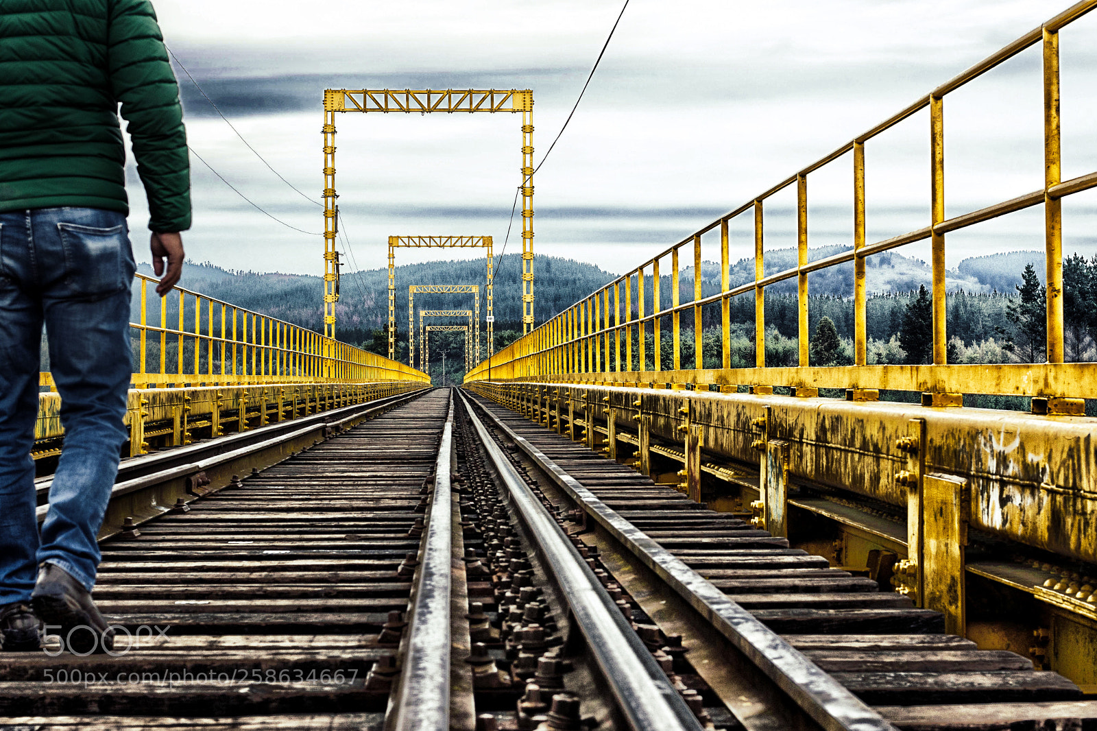 Nikon D7200 sample photo. Bridge photography