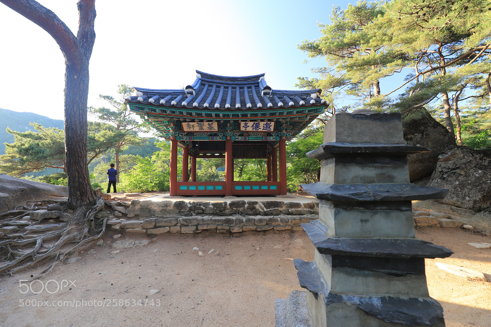 Canon EOS 6D Mark II sample photo. Unite into one photography