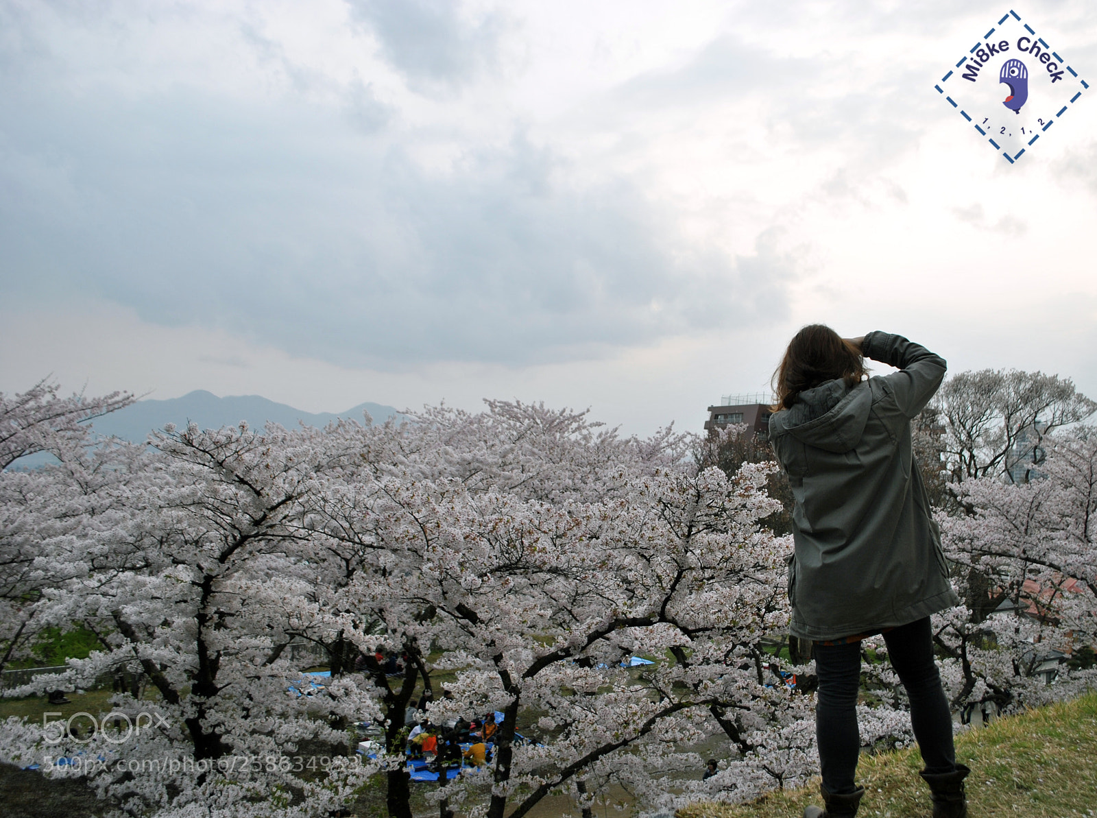 Nikon D3000 sample photo. Mi8kecheck it out photography