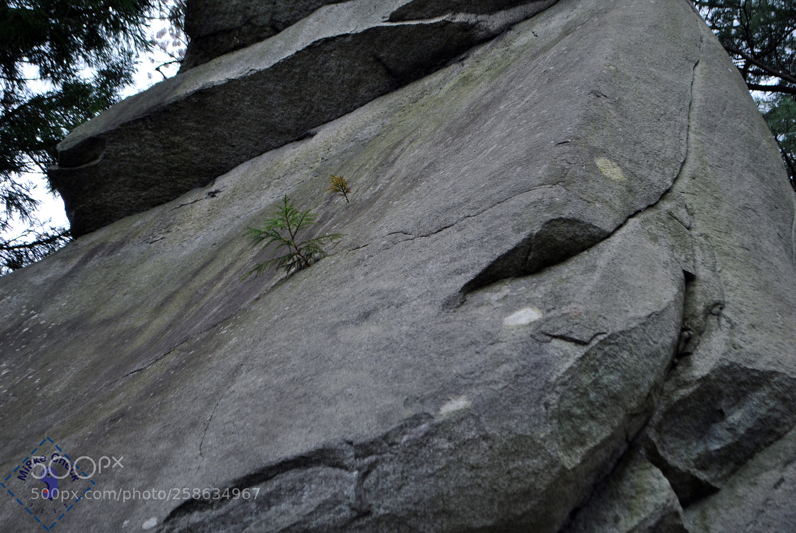 Nikon D3000 sample photo. Mi8kecheck it out photography