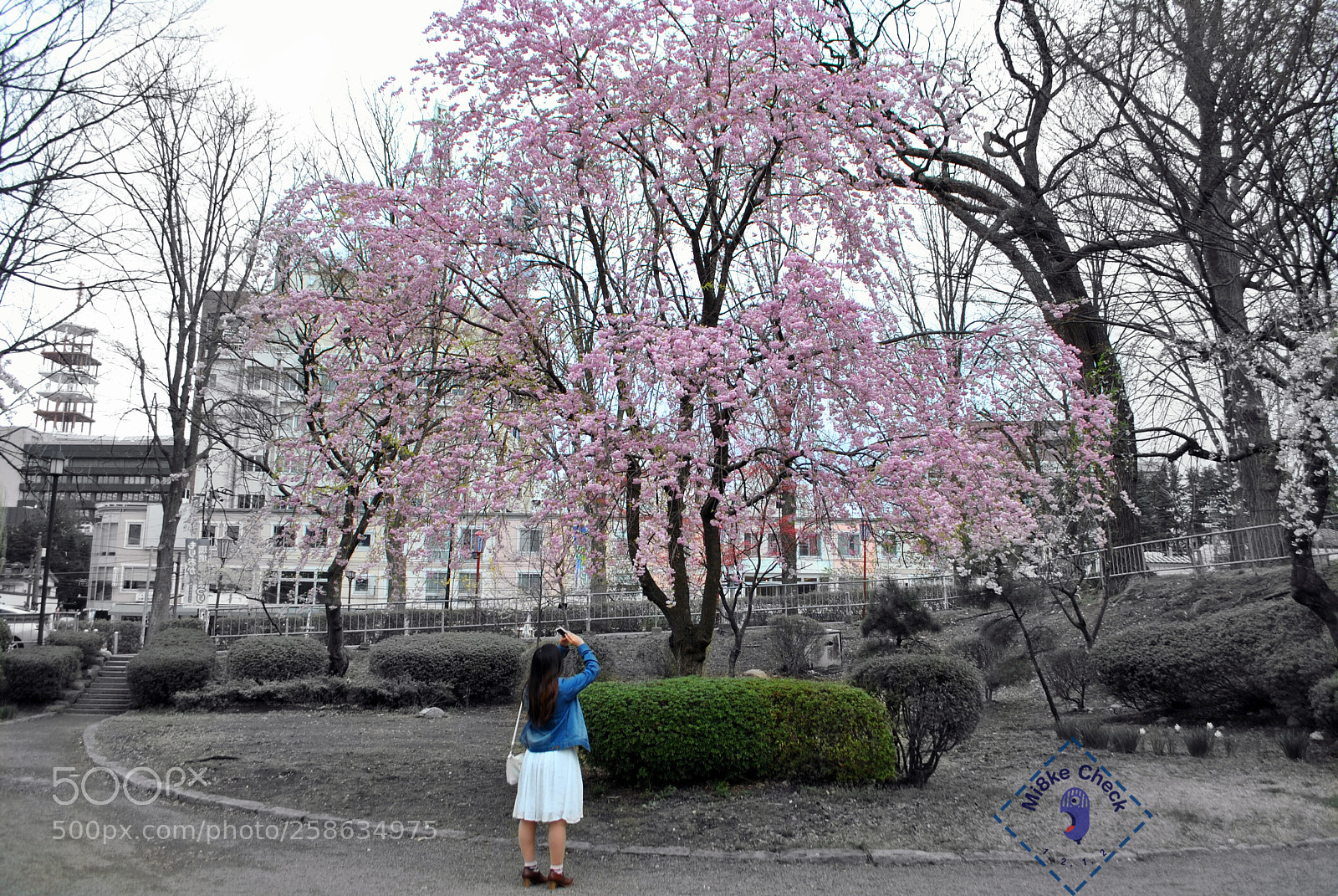 Nikon D3000 sample photo. Mi8kecheck it out photography