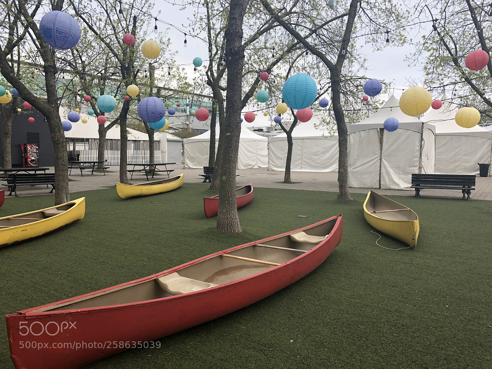 Apple iPhone X sample photo. Canoeing in grass  photography