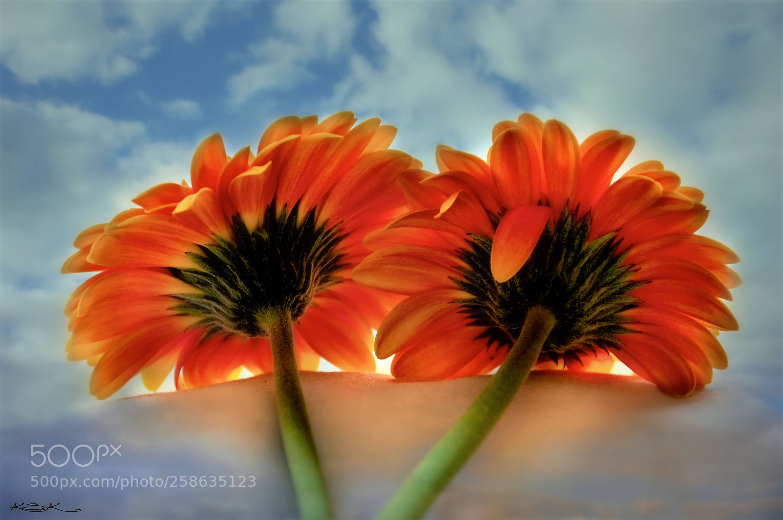 Nikon D5000 sample photo. Sunrise moments photography