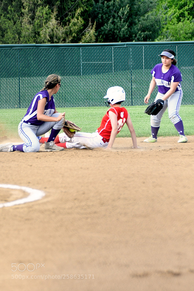 Nikon D500 sample photo. 5-14_0148.jpg photography