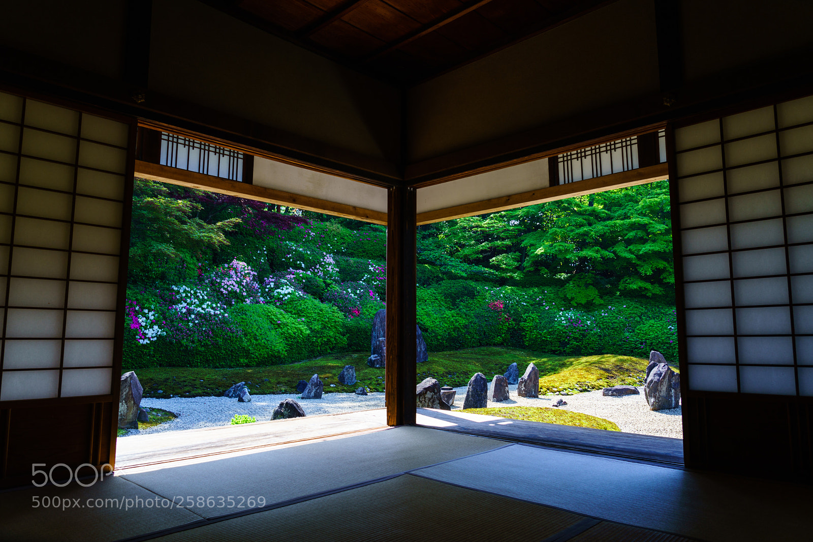 Sony a9 sample photo. 東福寺光明院 photography