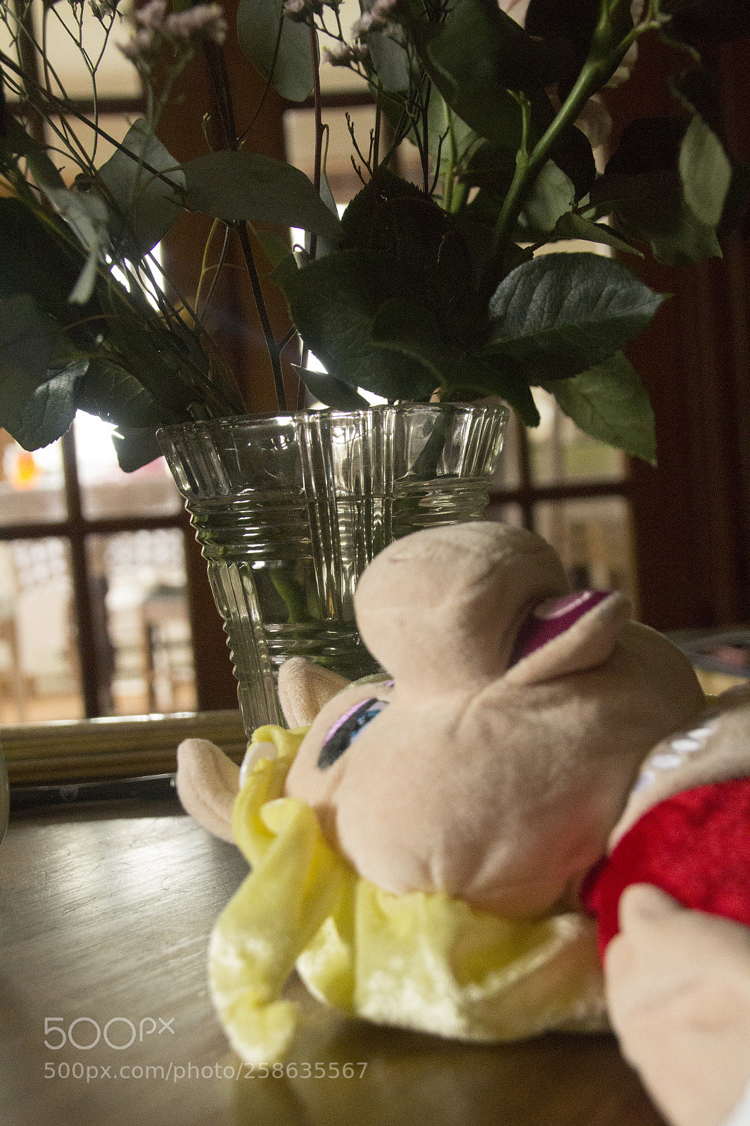 Canon EOS 1200D (EOS Rebel T5 / EOS Kiss X70 / EOS Hi) sample photo. Miss piggy relaxing and photography