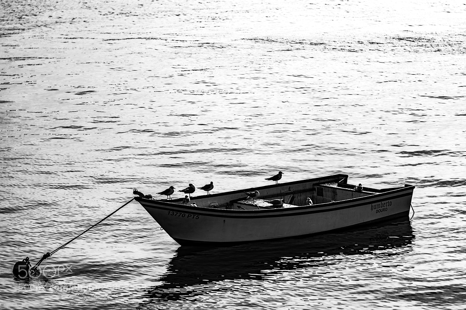 Canon EOS 80D sample photo. Lonely boat photography