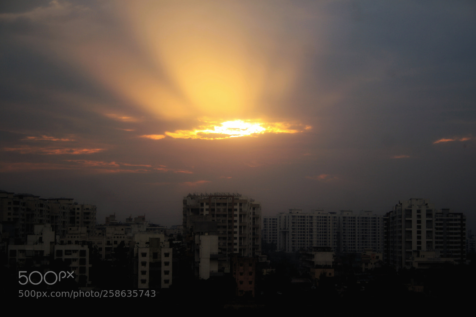 Canon EOS 1000D (EOS Digital Rebel XS / EOS Kiss F) sample photo. Sunrays photography