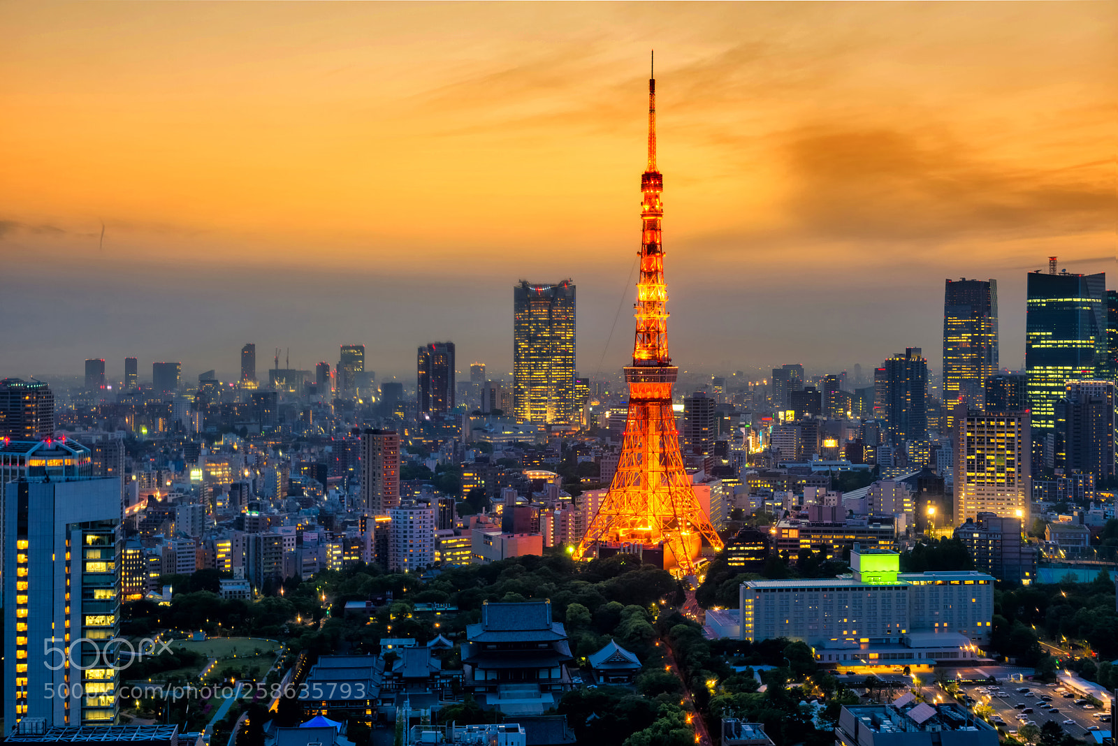 Nikon D810 sample photo. Tokyo tower light up photography